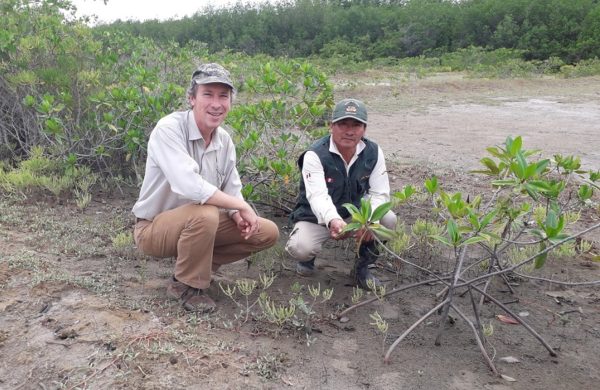 Regenera La Red Que Conserva Y Restaura Los Ecosistemas En El Per