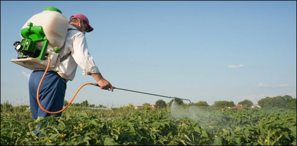 Nuevas pistas sobre la toxicidad del herbicida Glifosato